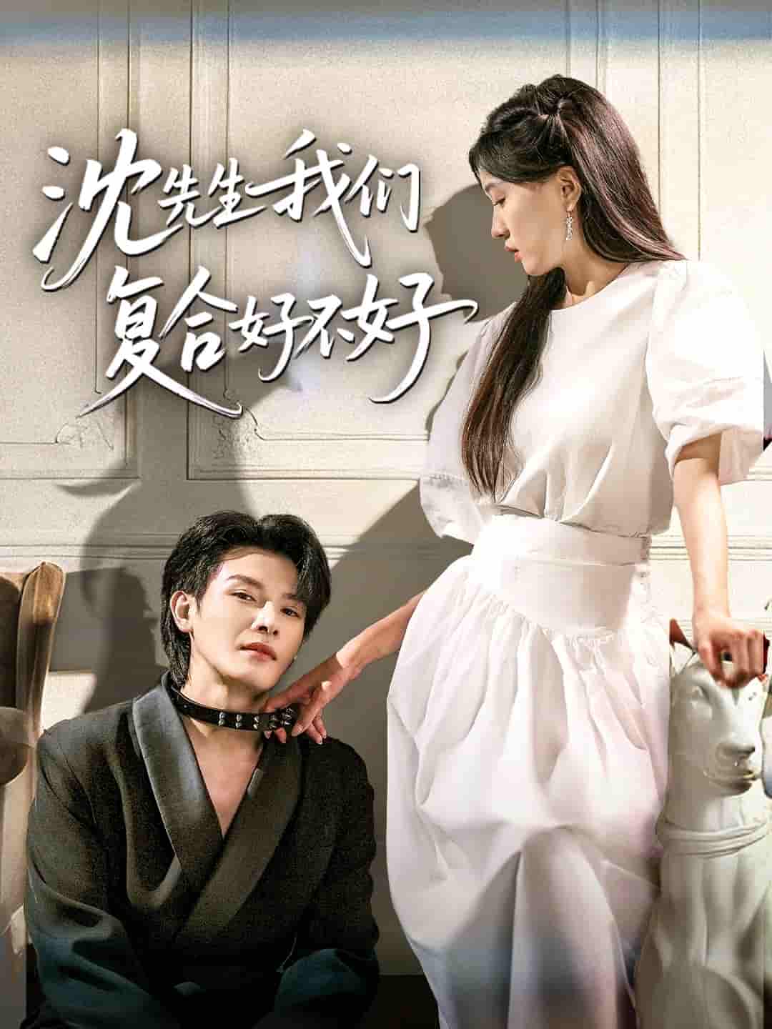 短剧 【沈先生我们复合好不好】 未删减版短剧 4K 高清免米，在线全集含后续  第1张
