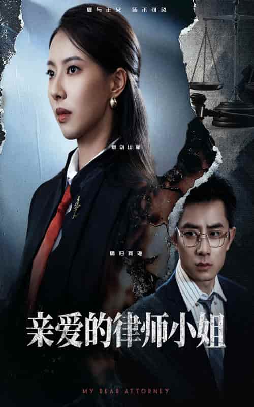 短剧《亲爱的律师小姐》未删减版大结局揭晓：4K 高清短剧免费，全集完整版在线可下载  第1张