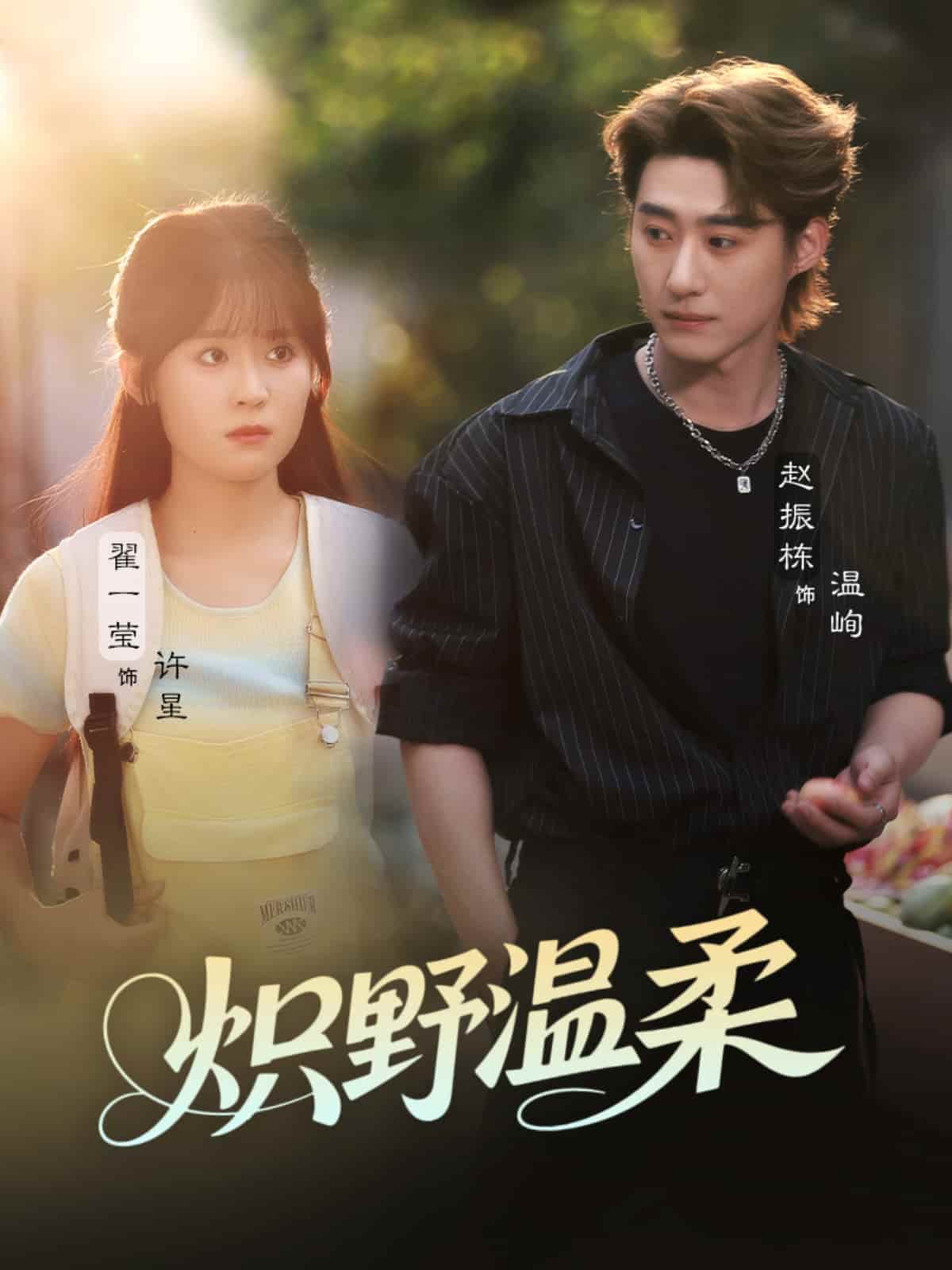 短剧《炽野温柔》免米观看 4K 高清短剧，全集未删减版无遗漏（后续）