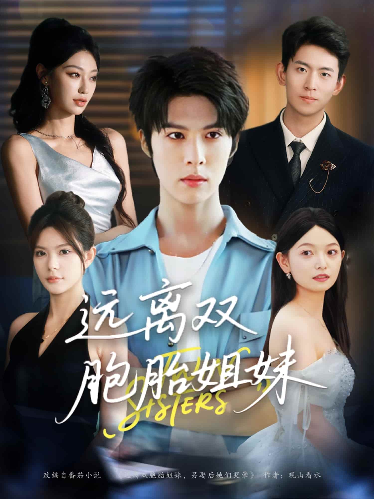 短剧《远离双胞胎姐妹》免米 4K 高清短剧全集在线，完整版观看无限制（大结局）  第1张