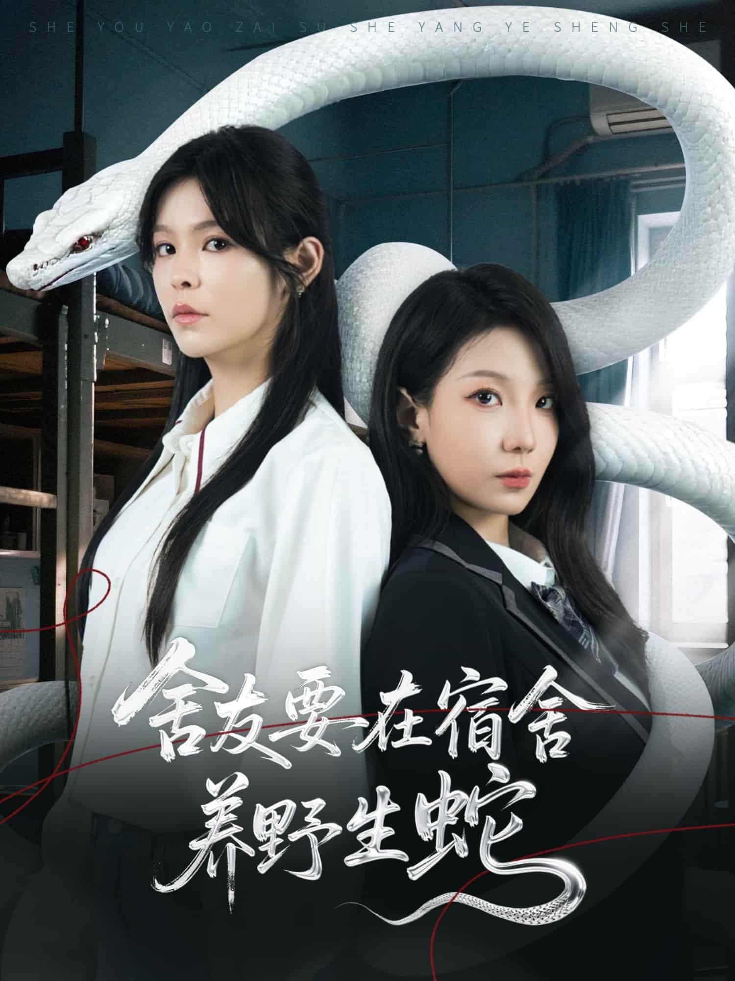 短剧《舍友要在宿舍养野生蛇》4K 高清短剧全集免米观，完整版播放无限制（资源）  第1张