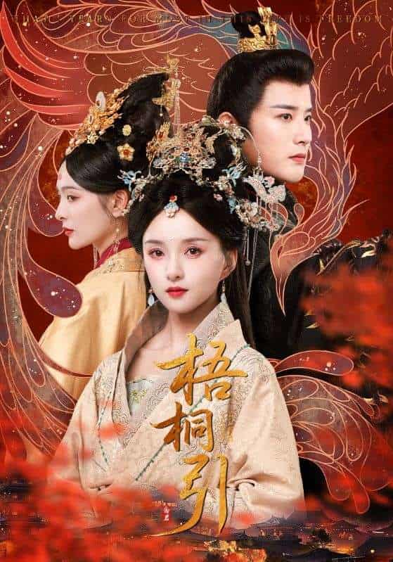 短剧《梧桐引》4K 高清短剧免费全集，后续剧情未删减，完整版资源 + 大结局全有  第1张