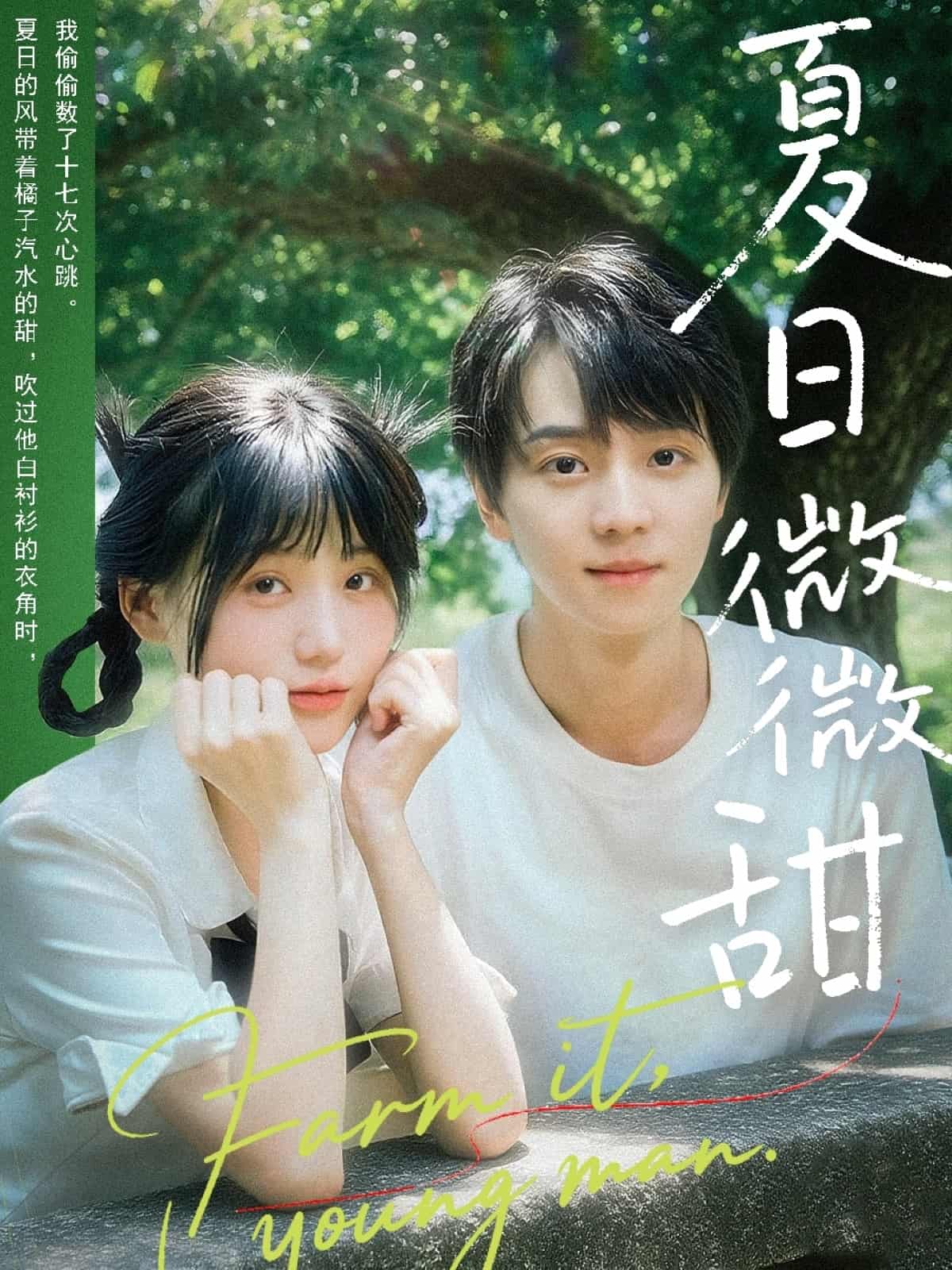 短剧《夏日微微甜》完整版短剧免费看，在线全集随心挑（含后续）